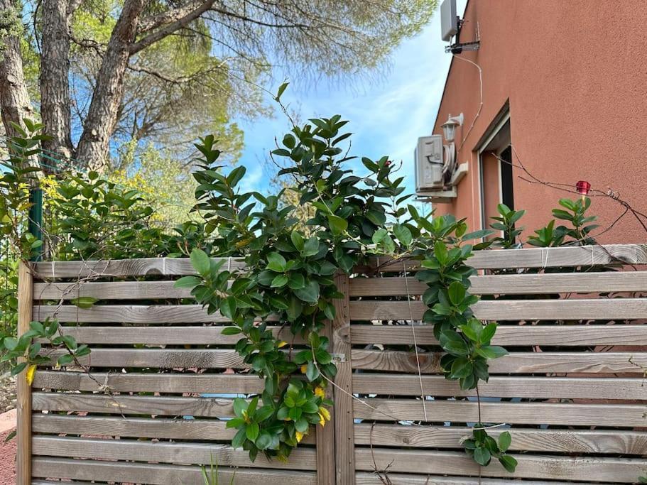Moderne Mini Maison Lezignan-Corbieres Exterior photo